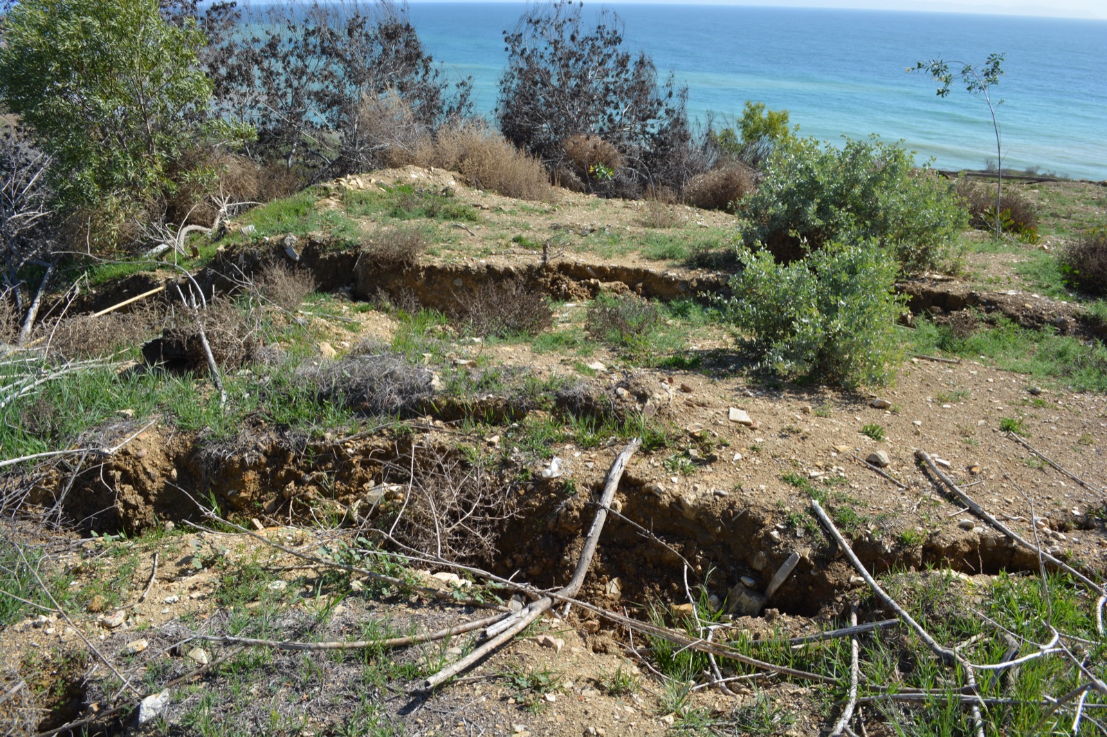 Deeply fissured and jumbled earth in the Portuguese Bend landslide area, with broken tan soil and displaced vegetation